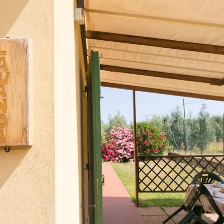 Il Pino - Monolocale Lavanda Alloggio per agriturismo Cecina (Livorno)