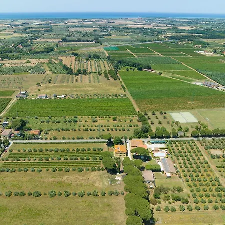 Il Pino - Monolocale Lavanda * Cecina (Livorno)