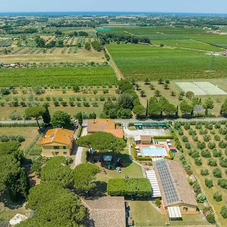 Il Pino - Monolocale Lavanda Alloggio per agriturismo Cecina (Livorno)